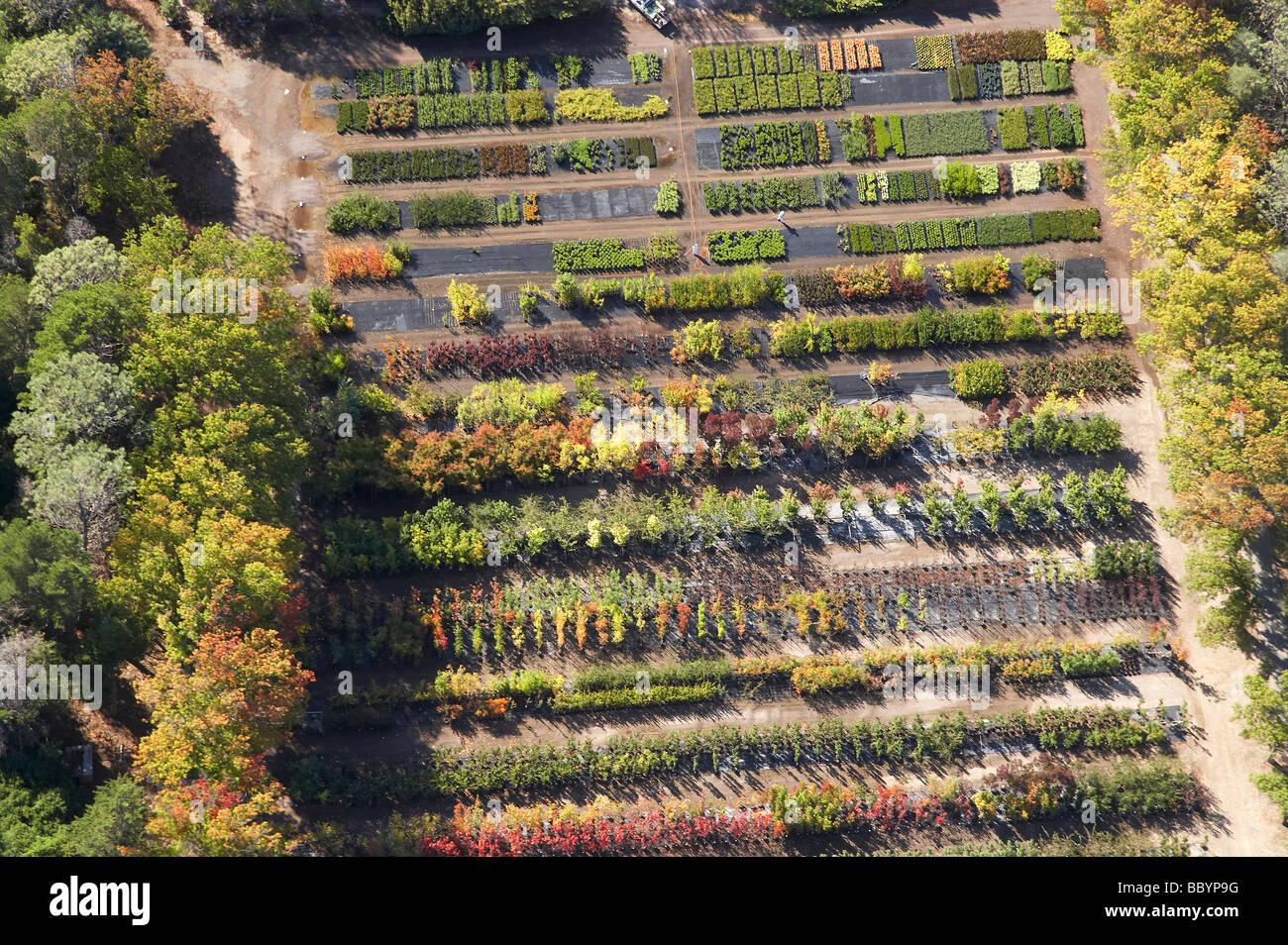Yarralumla Nursery Weston Park Yarralumla Canberra ACT Australia aerial Stock Photo Alamy