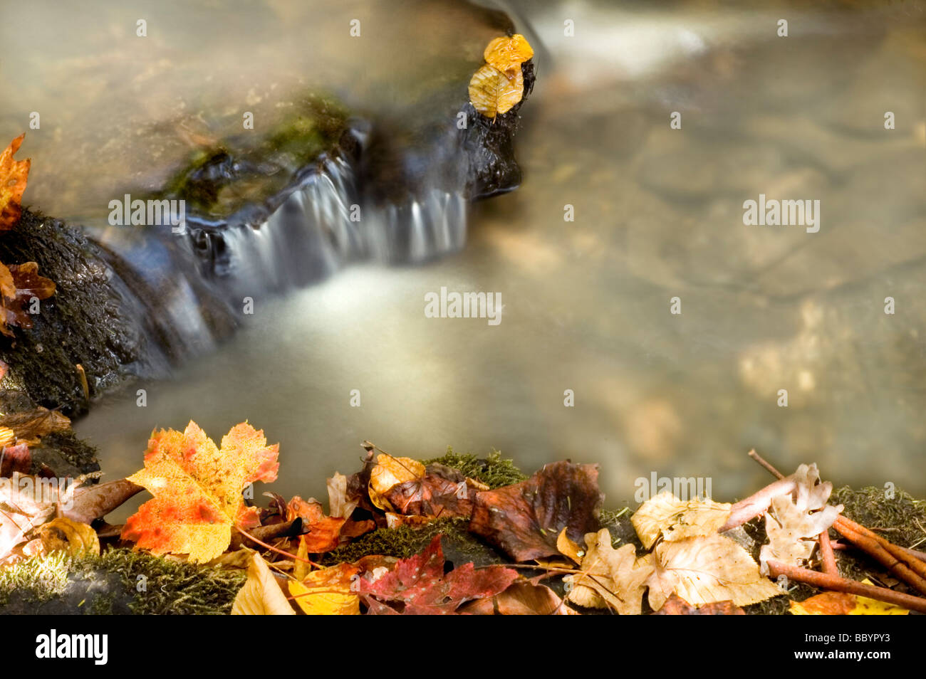 Beautiful Mountain Waterfall in Autumn Stock Photo