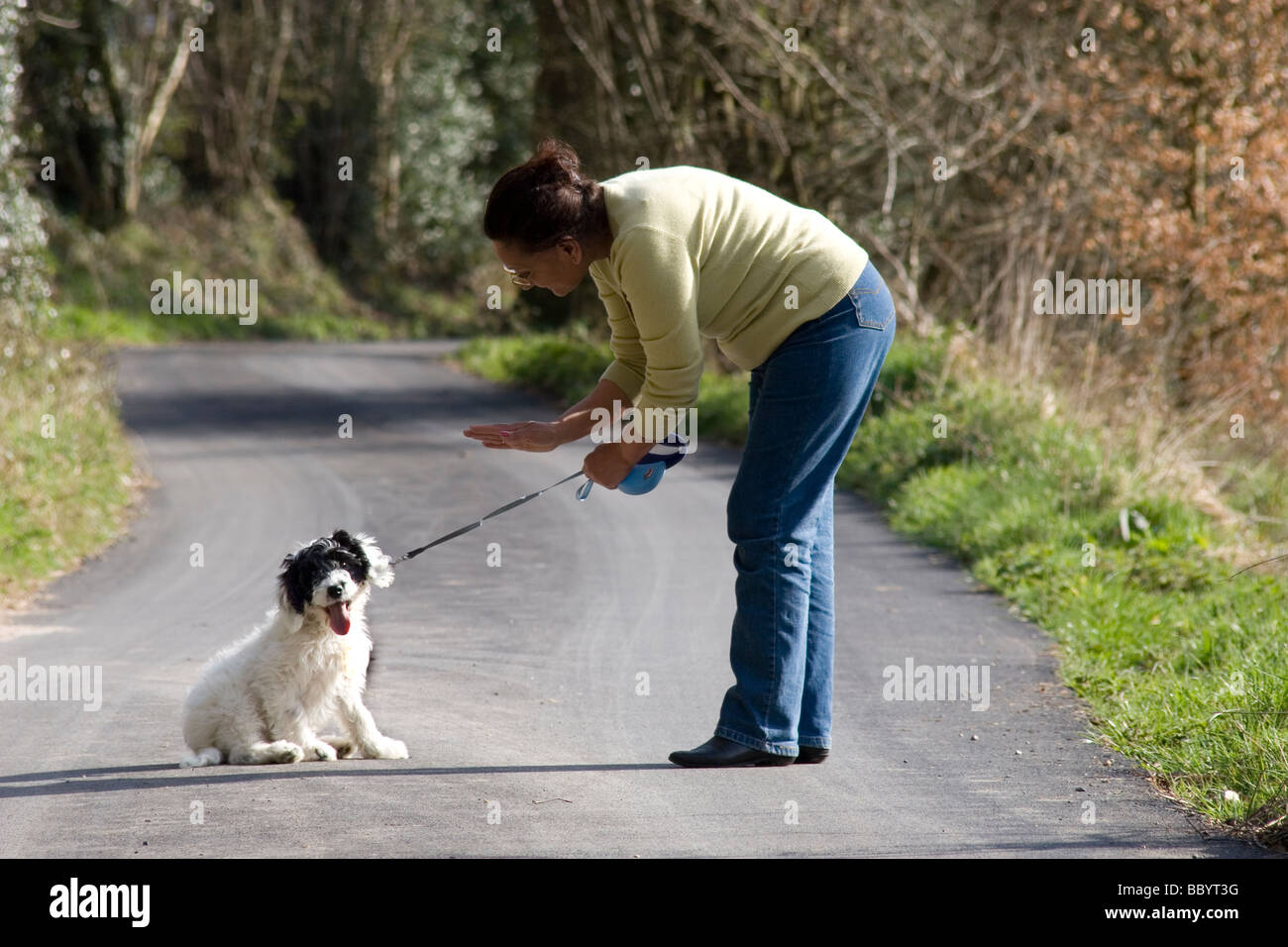 middle aged Asian woman training her puppy to sit and stay Stock Photo