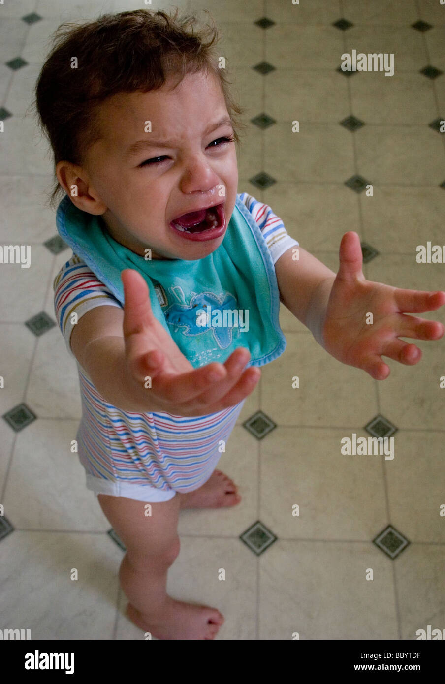 toddler throwing a tantrum in kitchen Stock Photo Alamy