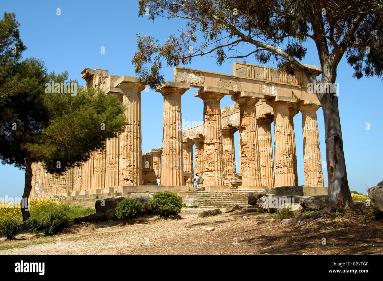 Ancient Greek Temple, archaeological site, Selinunte, Sicily, Italy, Europe Stock Photo