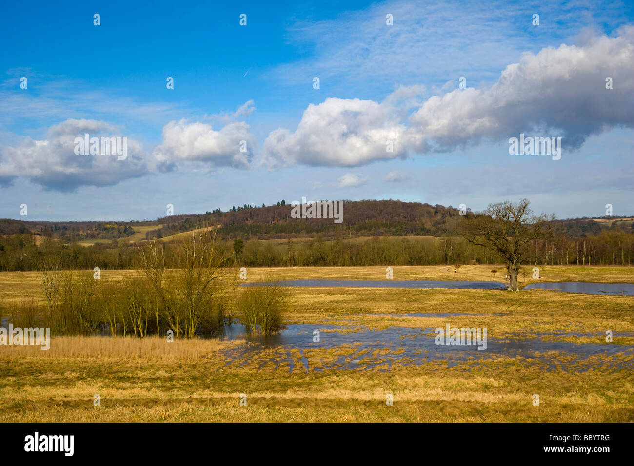 Flooded meadow by Thames downstream of Henley-on-Thames, Oxfordshire, England, United Kingdom, Europe Stock Photo