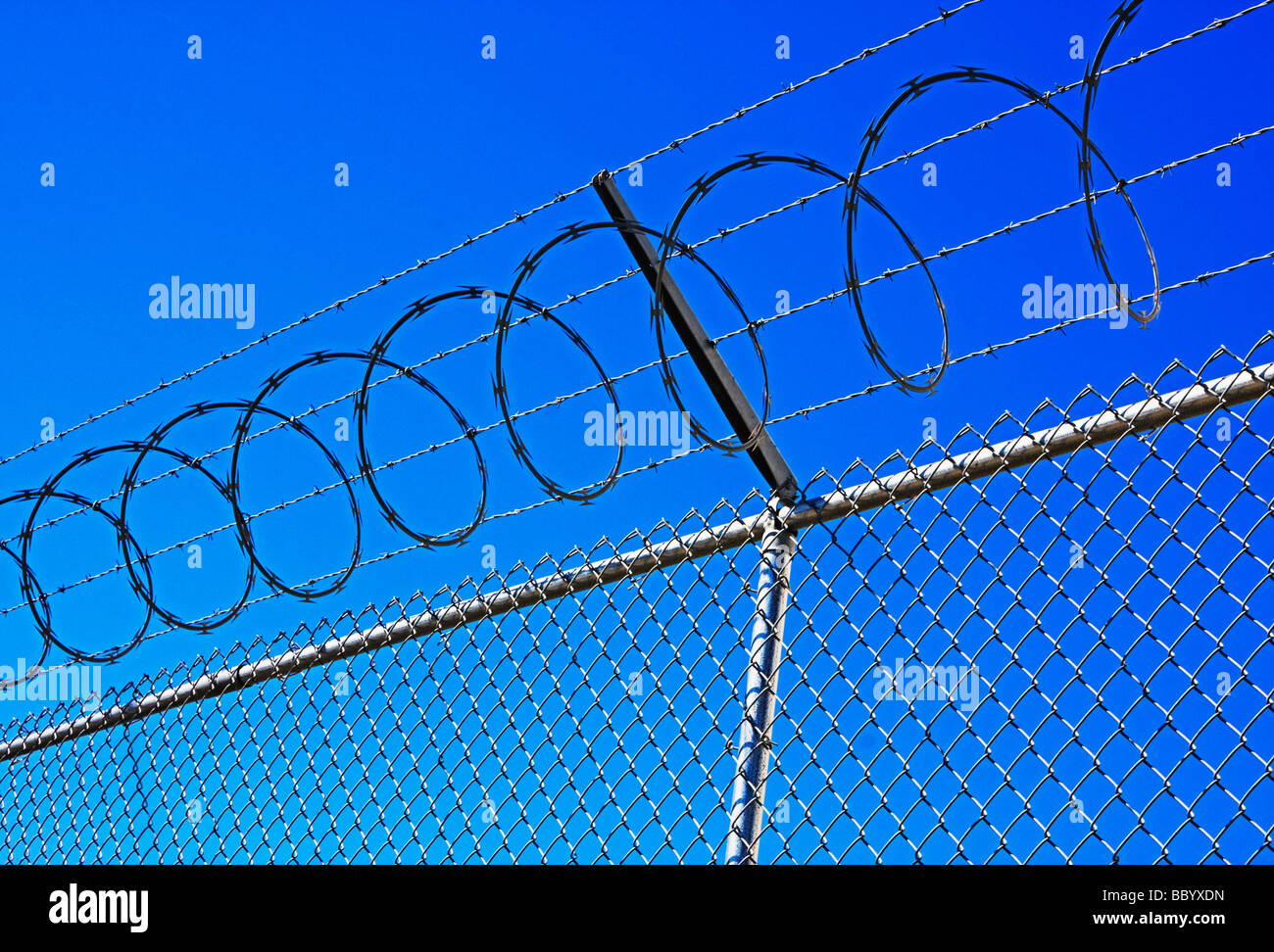 chain link fence barbed and razor wire Stock Photo Alamy