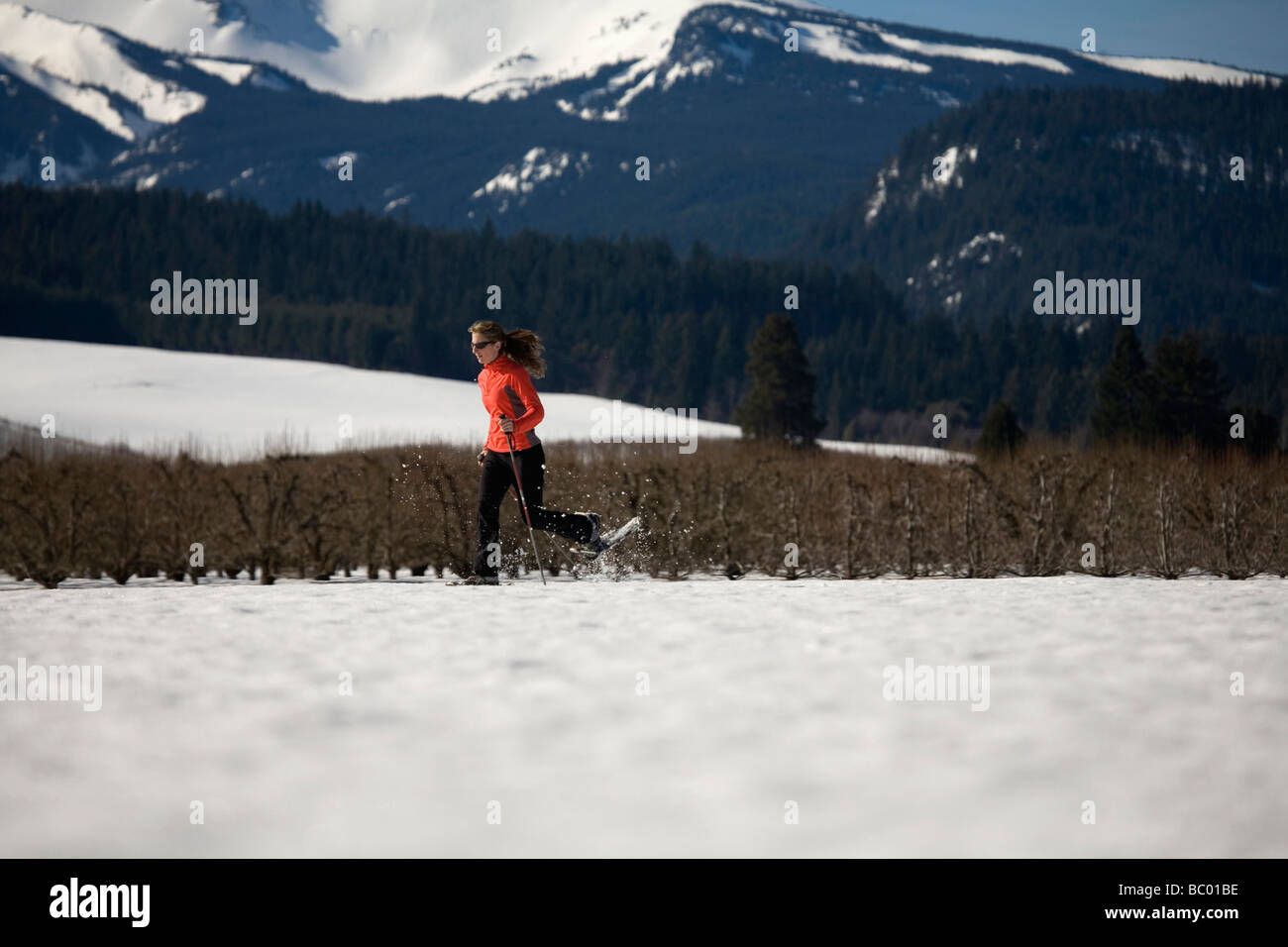 Young woman runs through snow with snowshoes near Mt. Hood, Oregon. Stock Photo