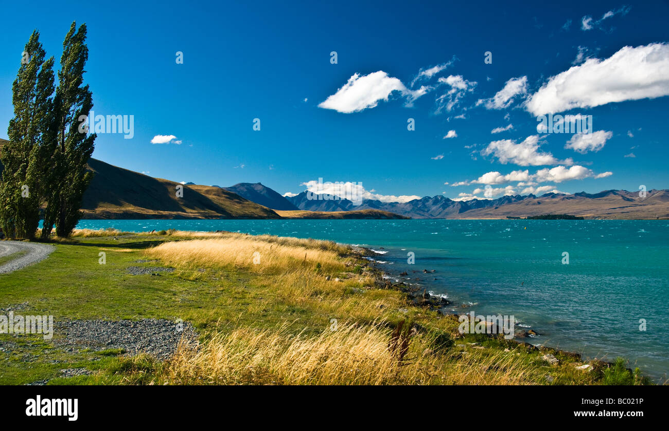 Lake Tekapo Mackenzie Country South Island New Zealand Stock Photo Alamy Lake Tekapo Mackenzie Country South Island New Zealand Stock Photo Alamy