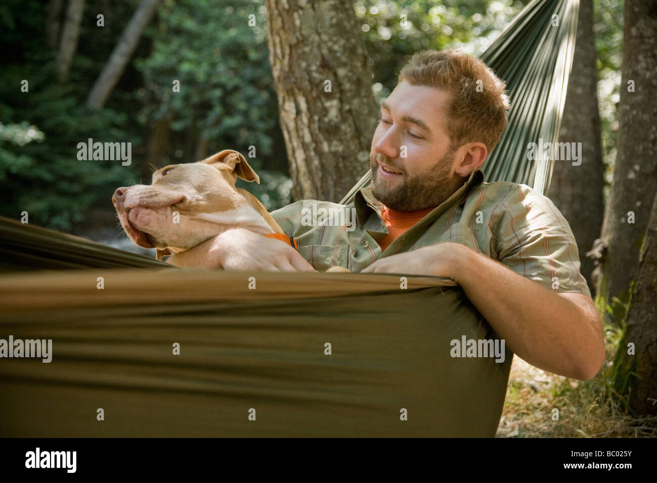 Young man with his dog in a hammock in the woods. Stock Photo