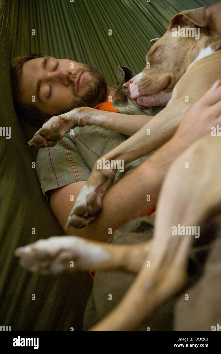 Young man asleep with his dog in a hammock in the woods. Stock Photo