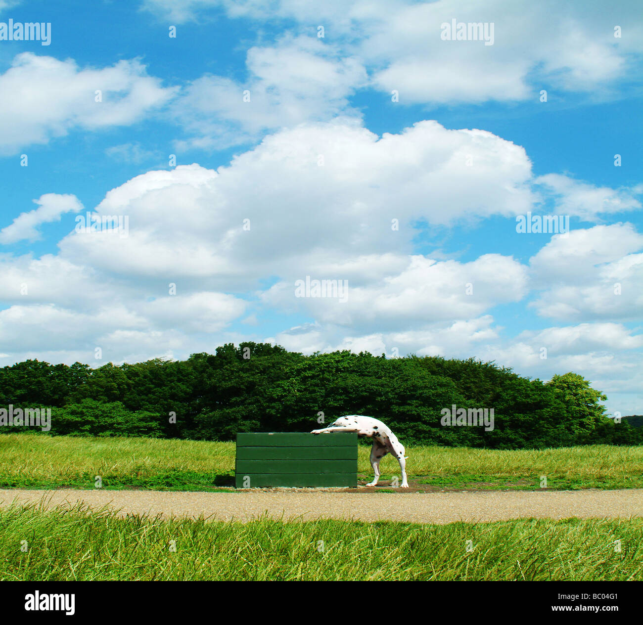 Rummaging in rubbish hires stock photography and images Alamy