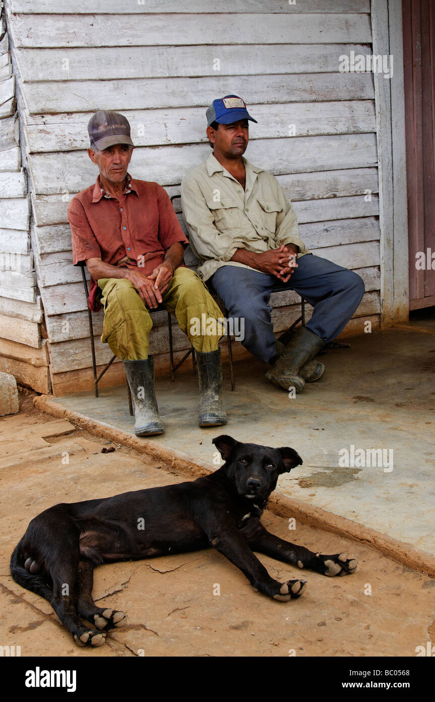 Farmhands & dog, Vinales valley farm, Pinar Del Rio, Cuba Stock Photo