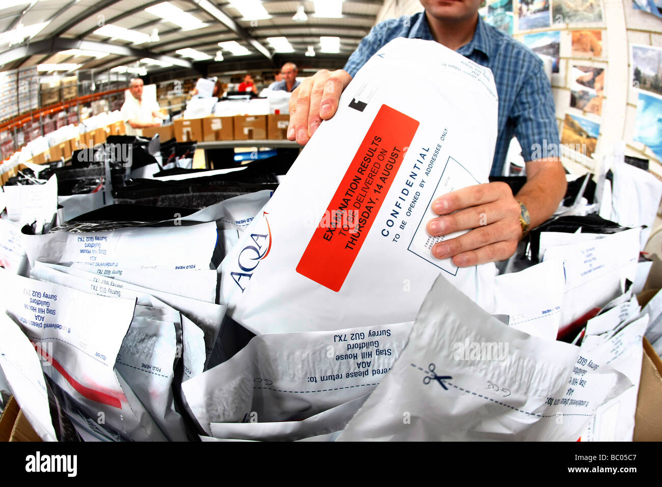 A level exam results are sorted into boxes at the AQA depot in Guildford before being sent across the country to exam centres Stock Photo