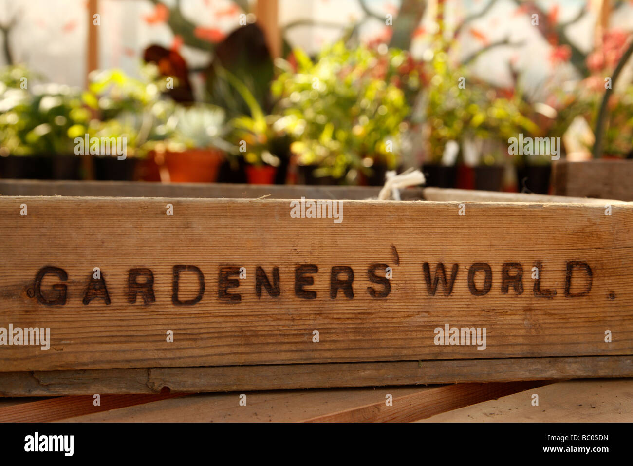 wooden seed tray with the words gardeners world stamped on Stock Photo