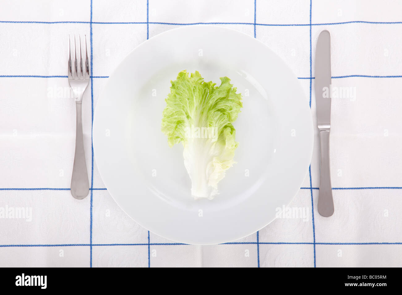 Concept for diet with a lettuce leaf on a dish Stock Photo