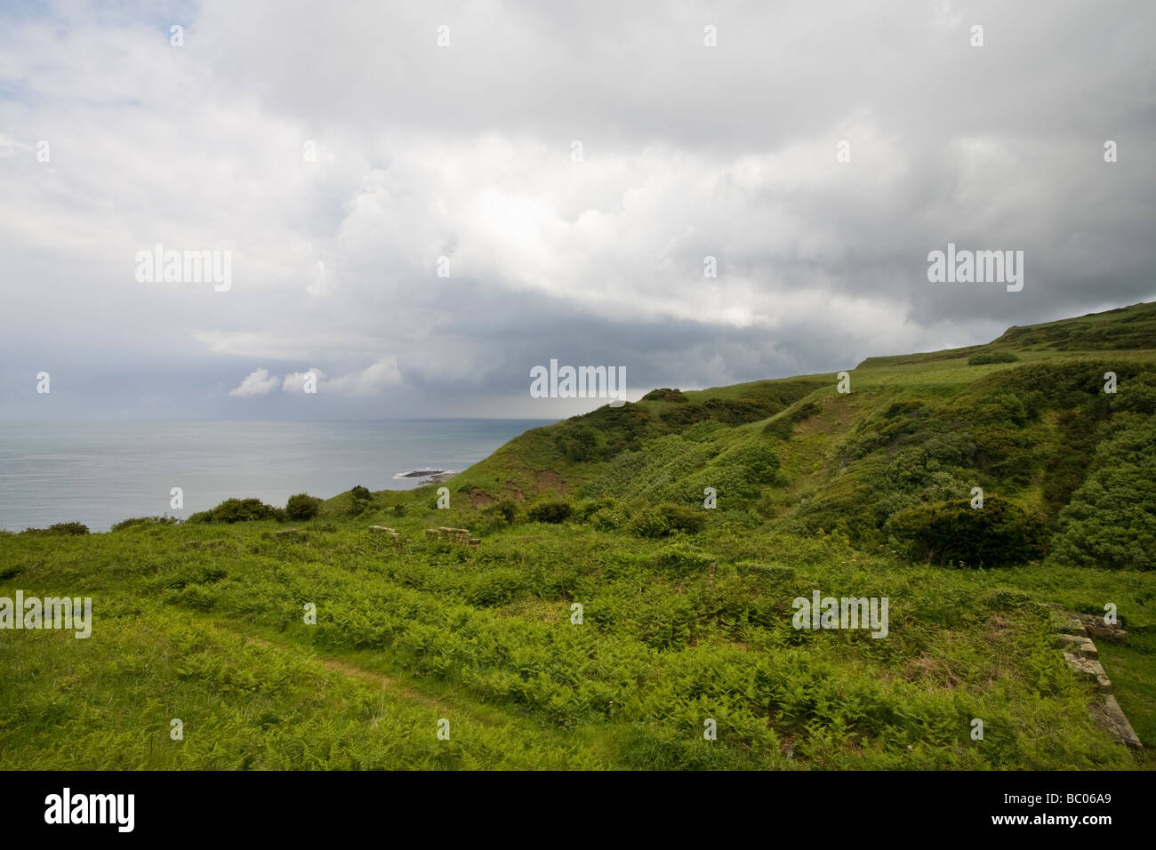 Cliff top view with stormy sky from Peak Alum Works Ravenscar North