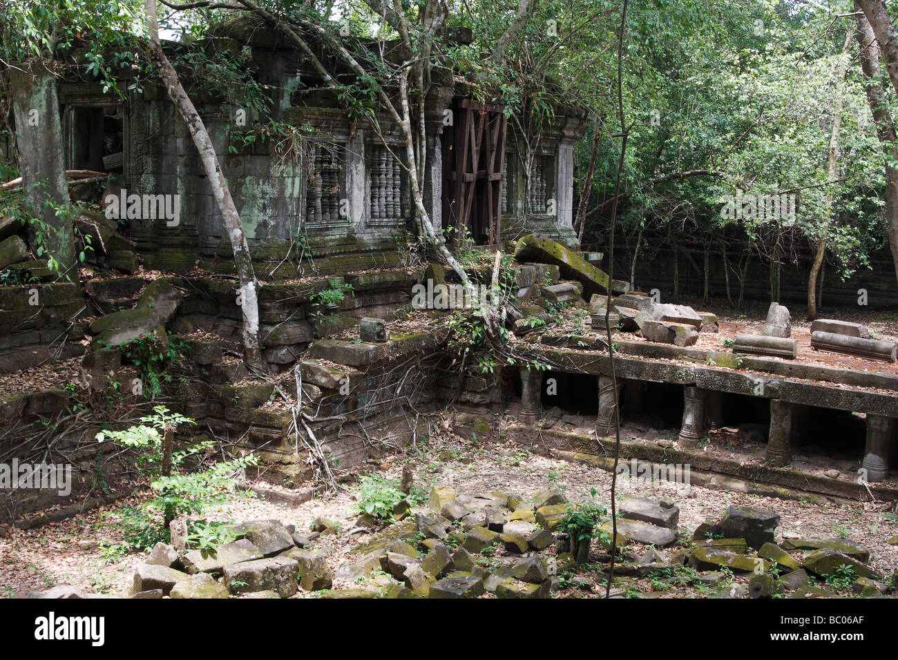 Beng Mealea Ancient Temple Ruins Covered By Jungle Angkor Cambodia Stock Photo Alamy Beng Mealea Ancient Temple Ruins Covered By Jungle Angkor Cambodia Stock Photo Alamy