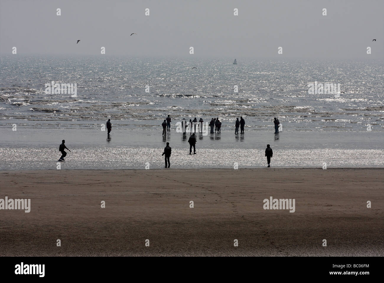 Large group of people in silhouette at the sea edge at low tide in bright sun. Stock Photo