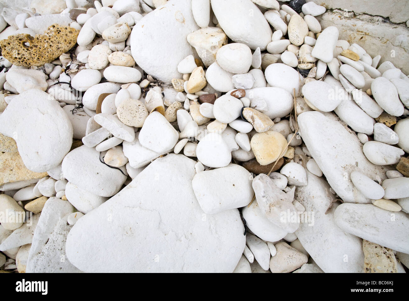 Geology on the North Yorkshire Coast, England Stock Photo Alamy