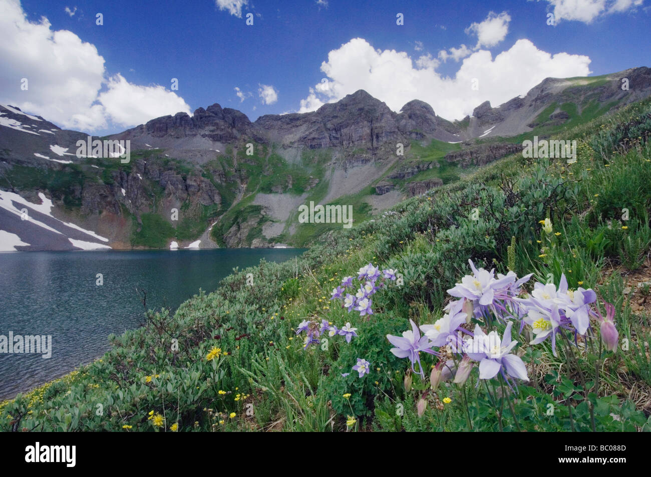 Clear Lake with wildflowers in alpine meadow Blue Columbine San Juan Mountains Rocky Mountains Colorado USA Stock Photo