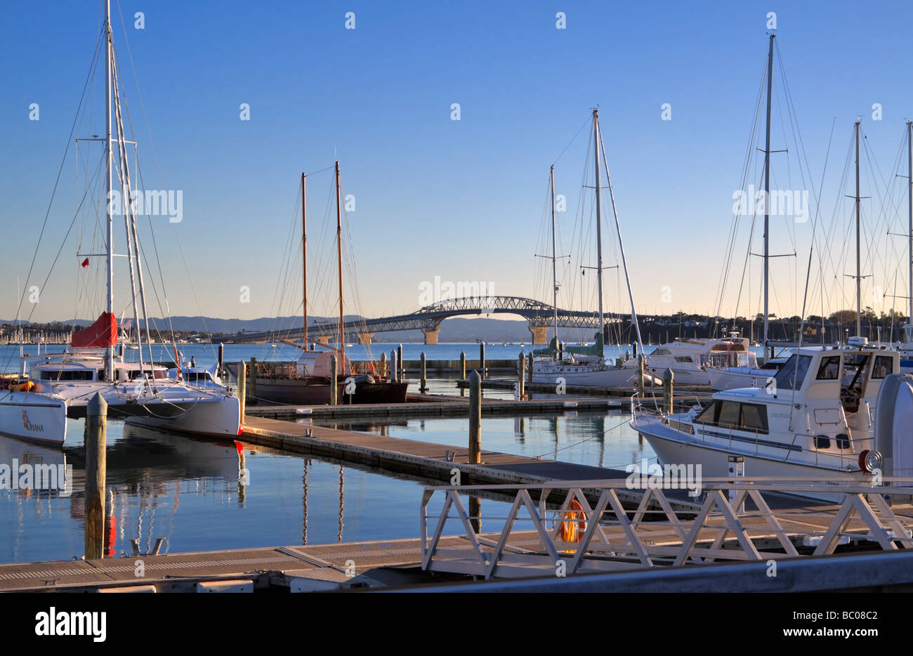 Auckland Harbour Bridge from Bayswater Marina in evening light Stock Photo Alamy