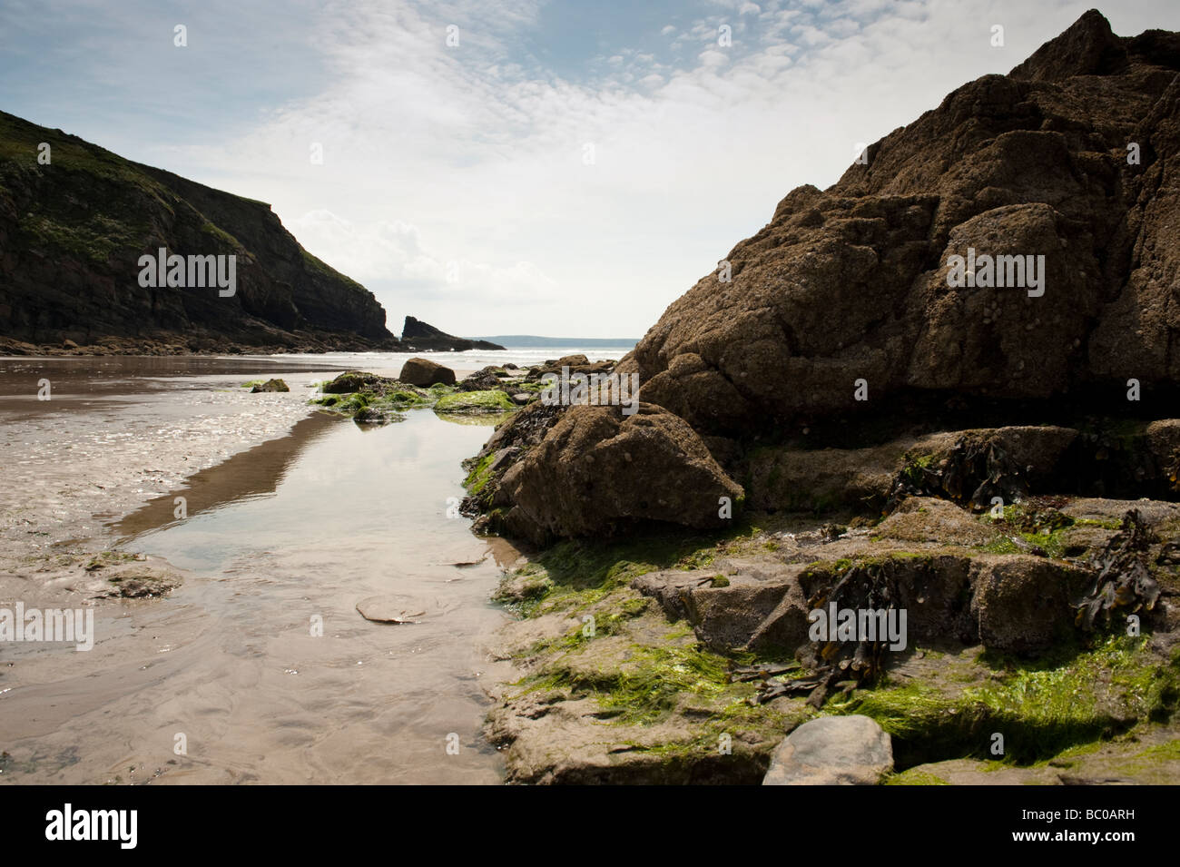 Summer afternoon Nolton Haven Pembrokeshire Coast National Park South West Wales UK Stock Photo