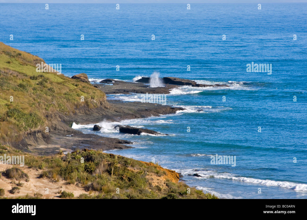 Tasman Sea from Arai te Uru Recreation Reserve, Omapere, New Zealand Stock Photo