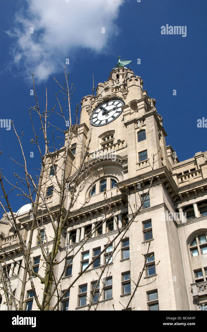 Liverpool Royal Liver Assurance Building Lancashire UK Clock Bird Stock ...