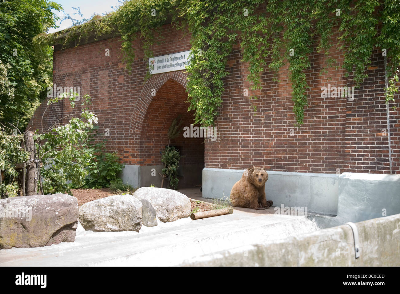 Bear Pit, Köllnischer Park, Berlin, Germany Stock Photo