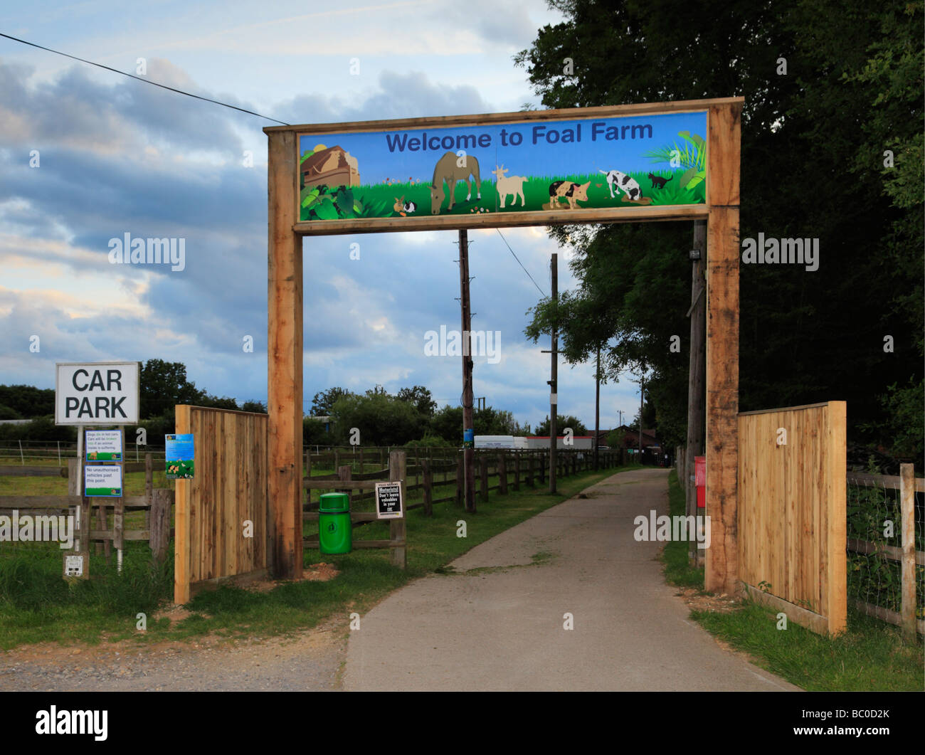 Foal farm animal rescue centre Biggin Hill Kent England UK Stock Photo