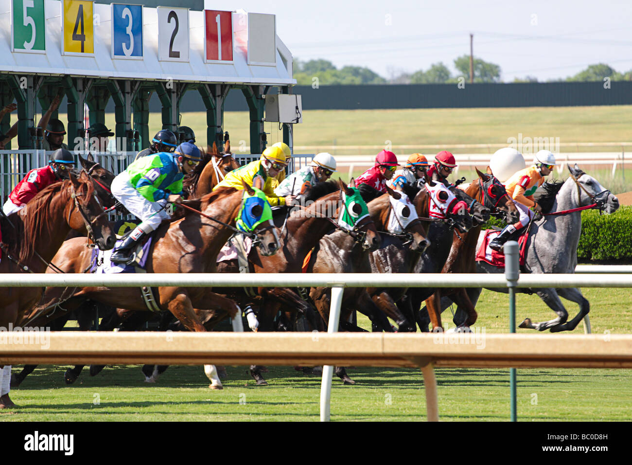 Horse race start Stock Photo Alamy