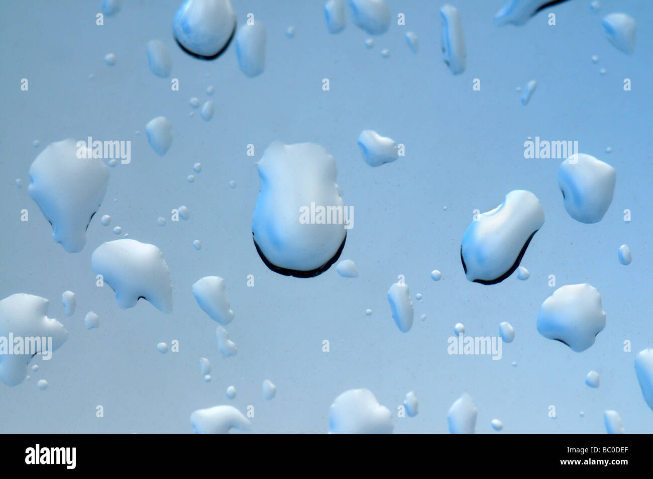 Rain drops on a window. Stock Photo