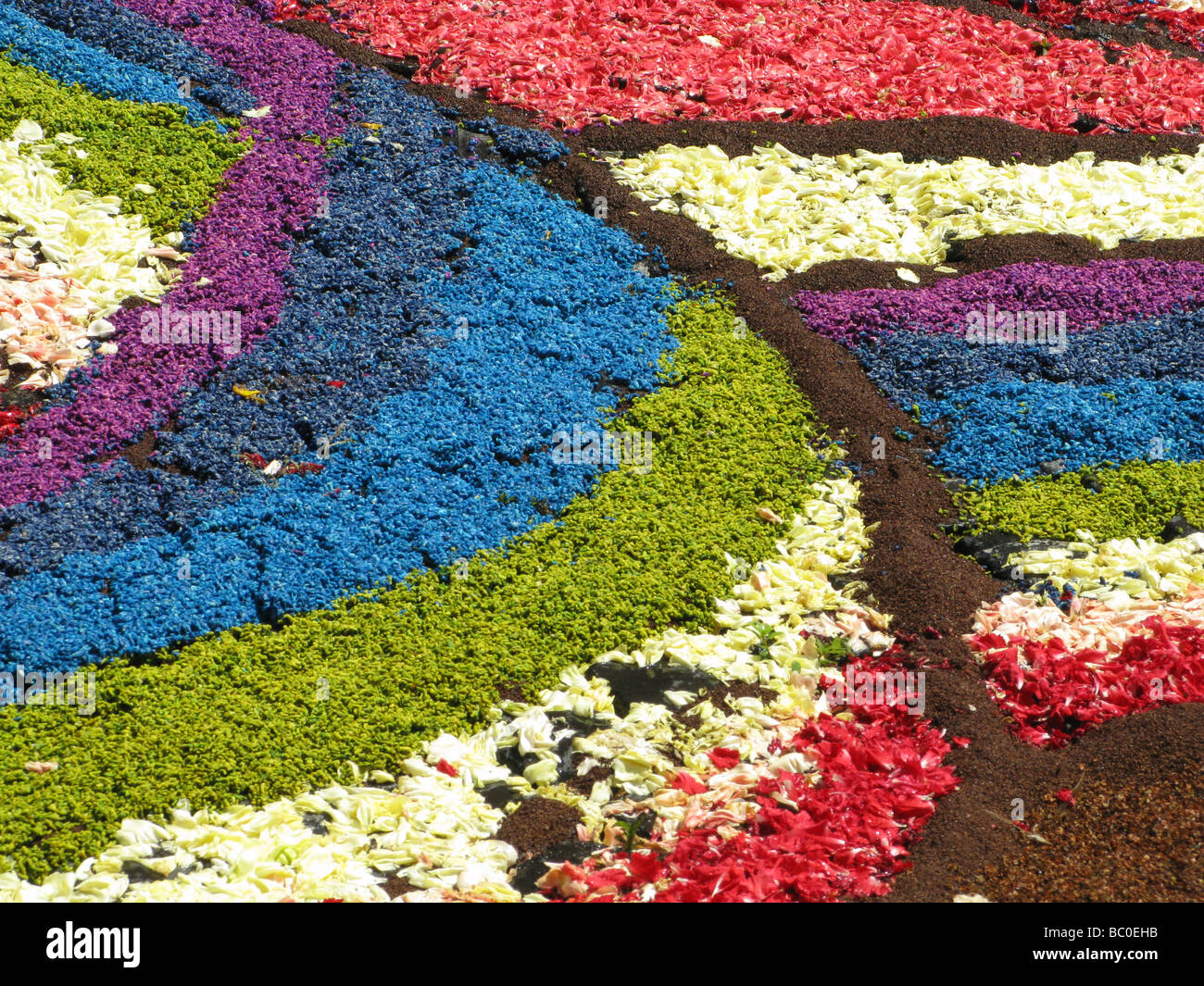 infiorata flowers petals designs festival in genzano, lazio 2009 Stock