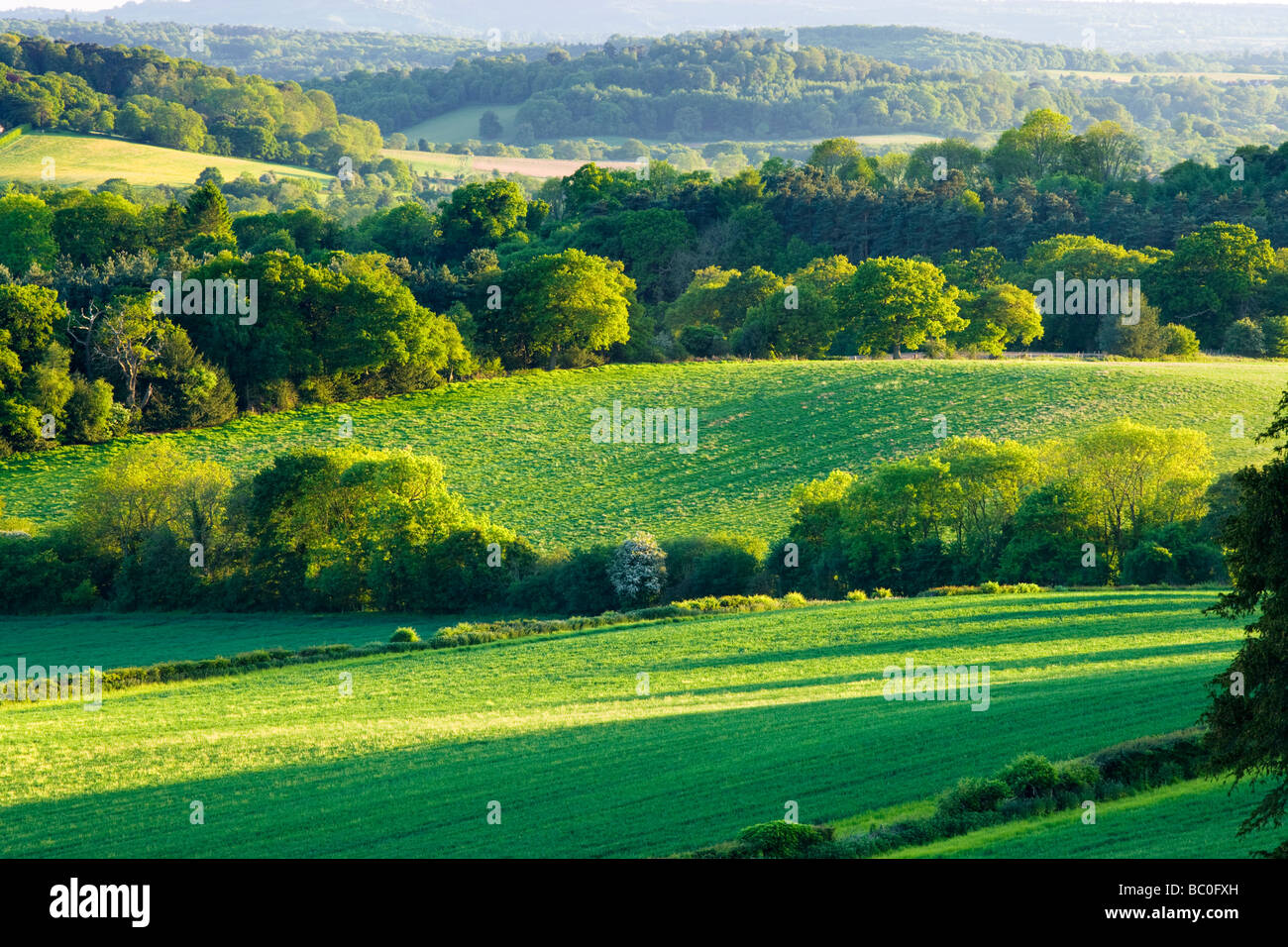 Mixed countryside at Newlands Corner, Surrey, UK Stock Photo