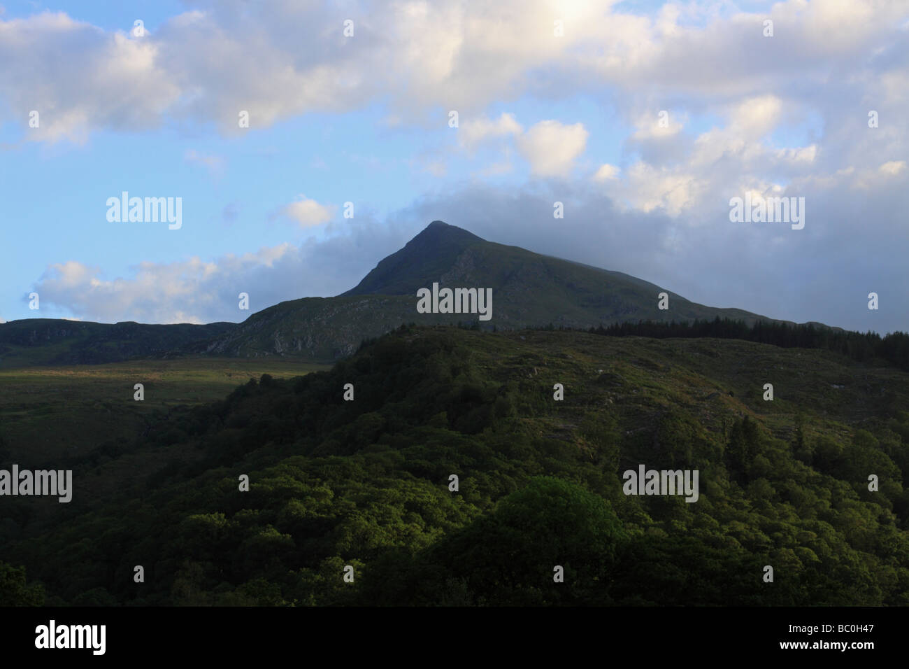 Moel Siabod, a mountain in Snowdonia, basks in evening light. Viewed from the north Stock Photo
