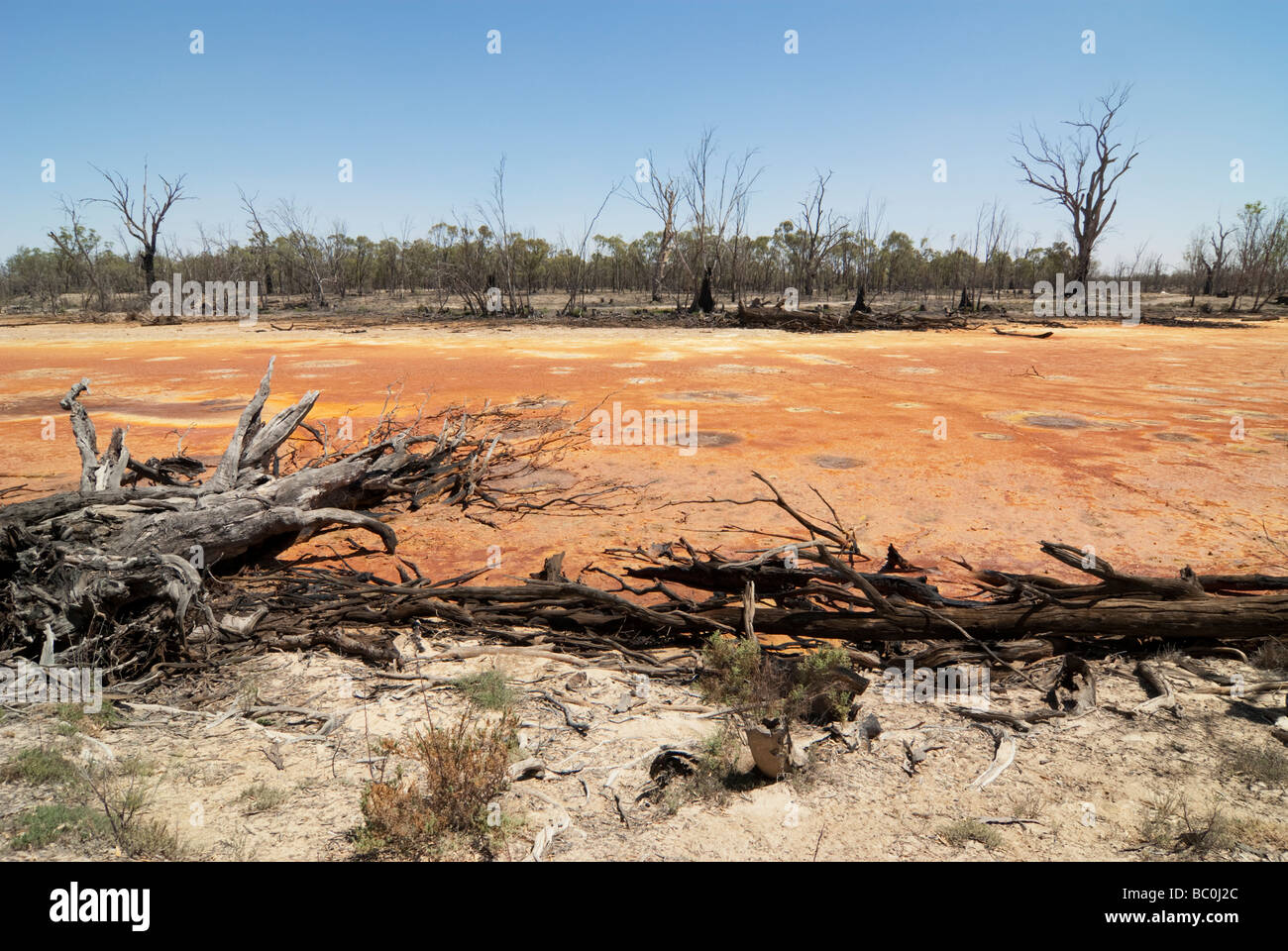 Wetland acidified by acid sulfate soils Stock Photo