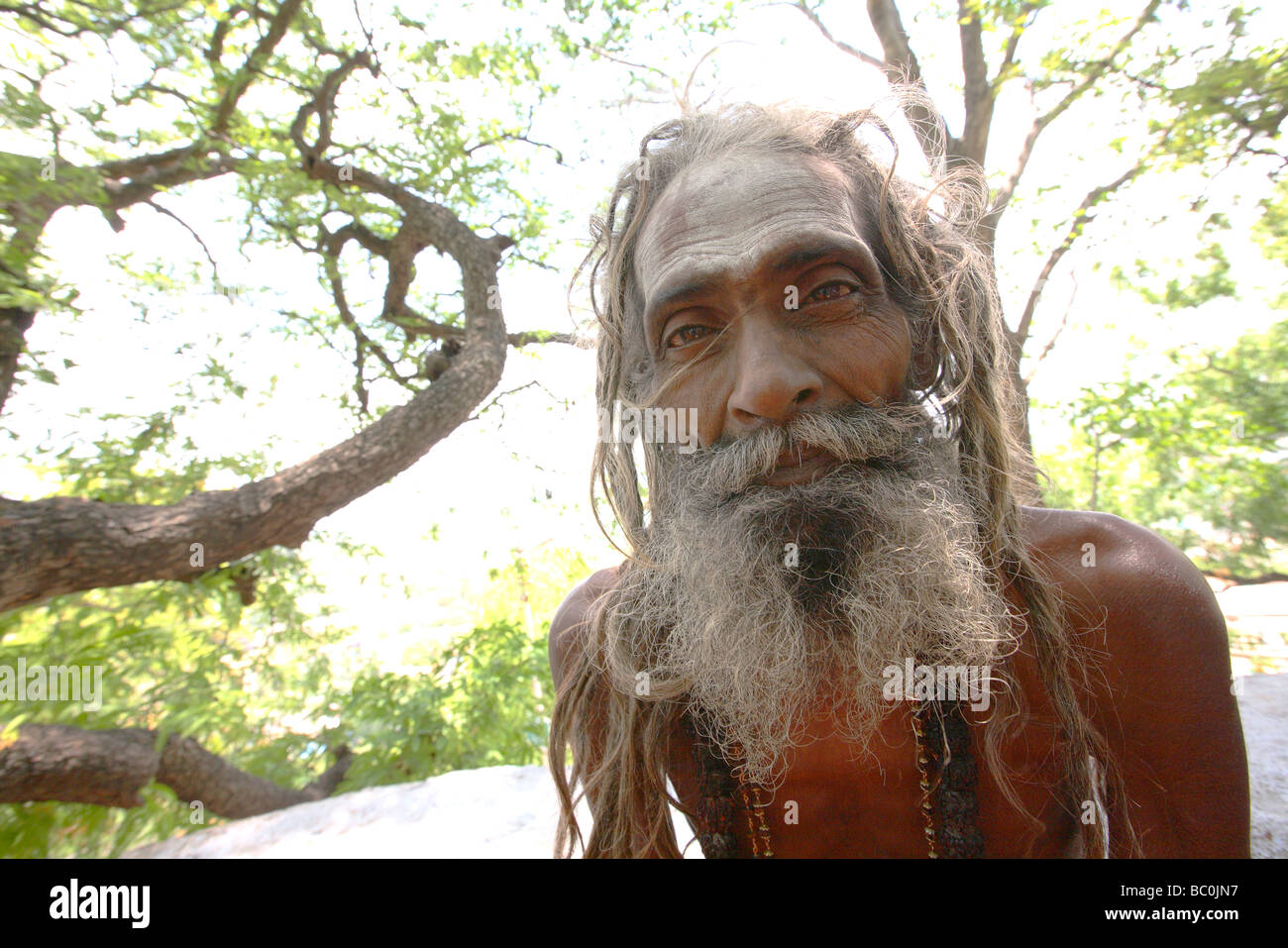 Palani tamil nadu india man hi-res stock photography and images - Alamy