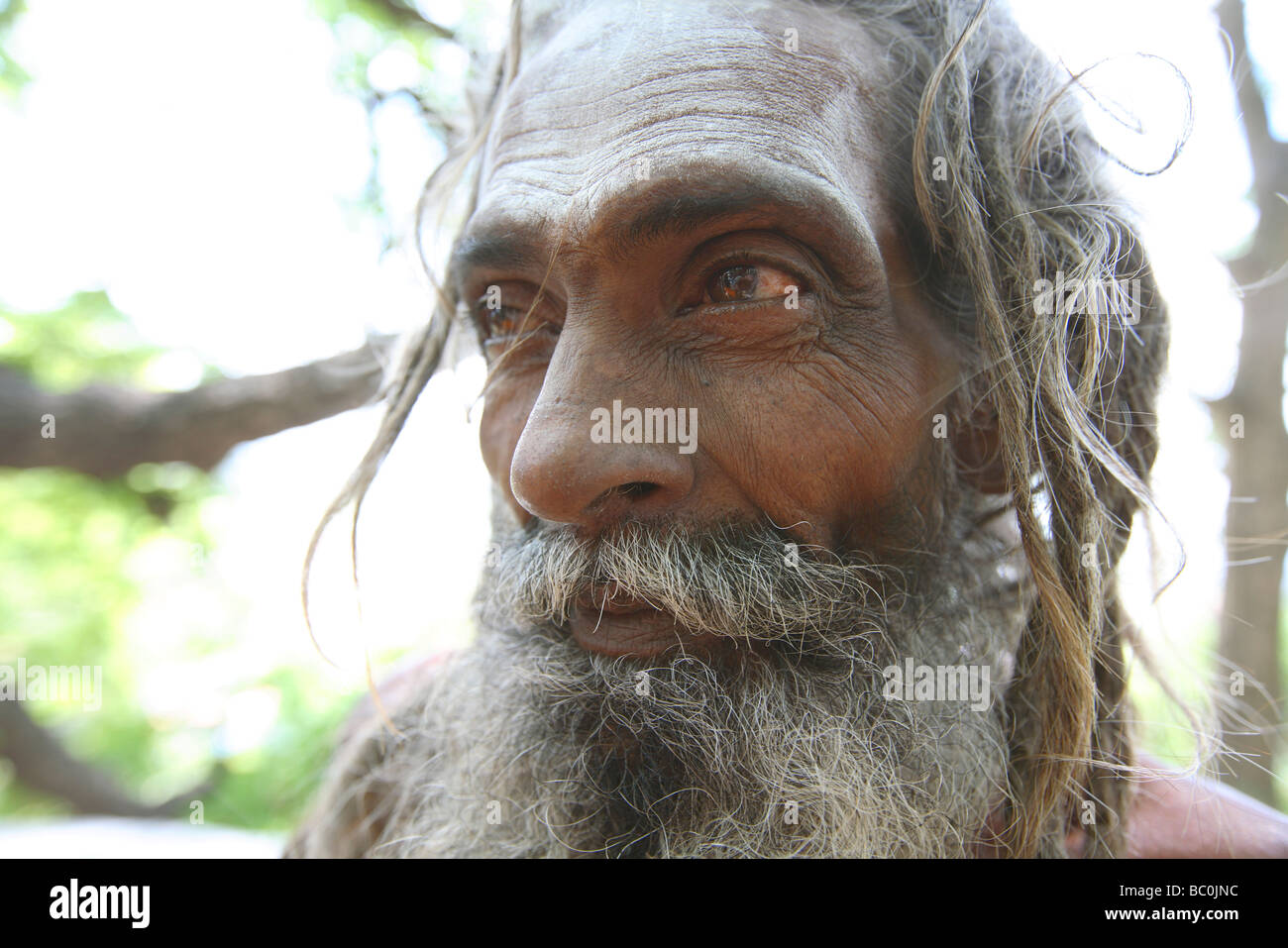 India, Tamil Nadu, Palani, portrait of holy man at hindu Pilgrim temple Centre Stock Photo