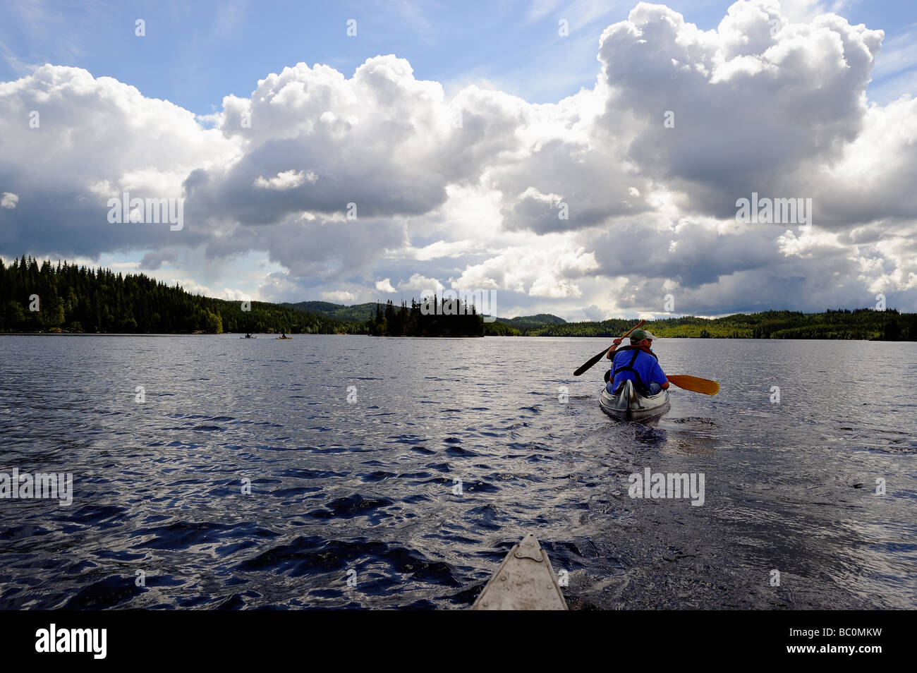 Friends paddling canoe on lake Stock Photo Alamy