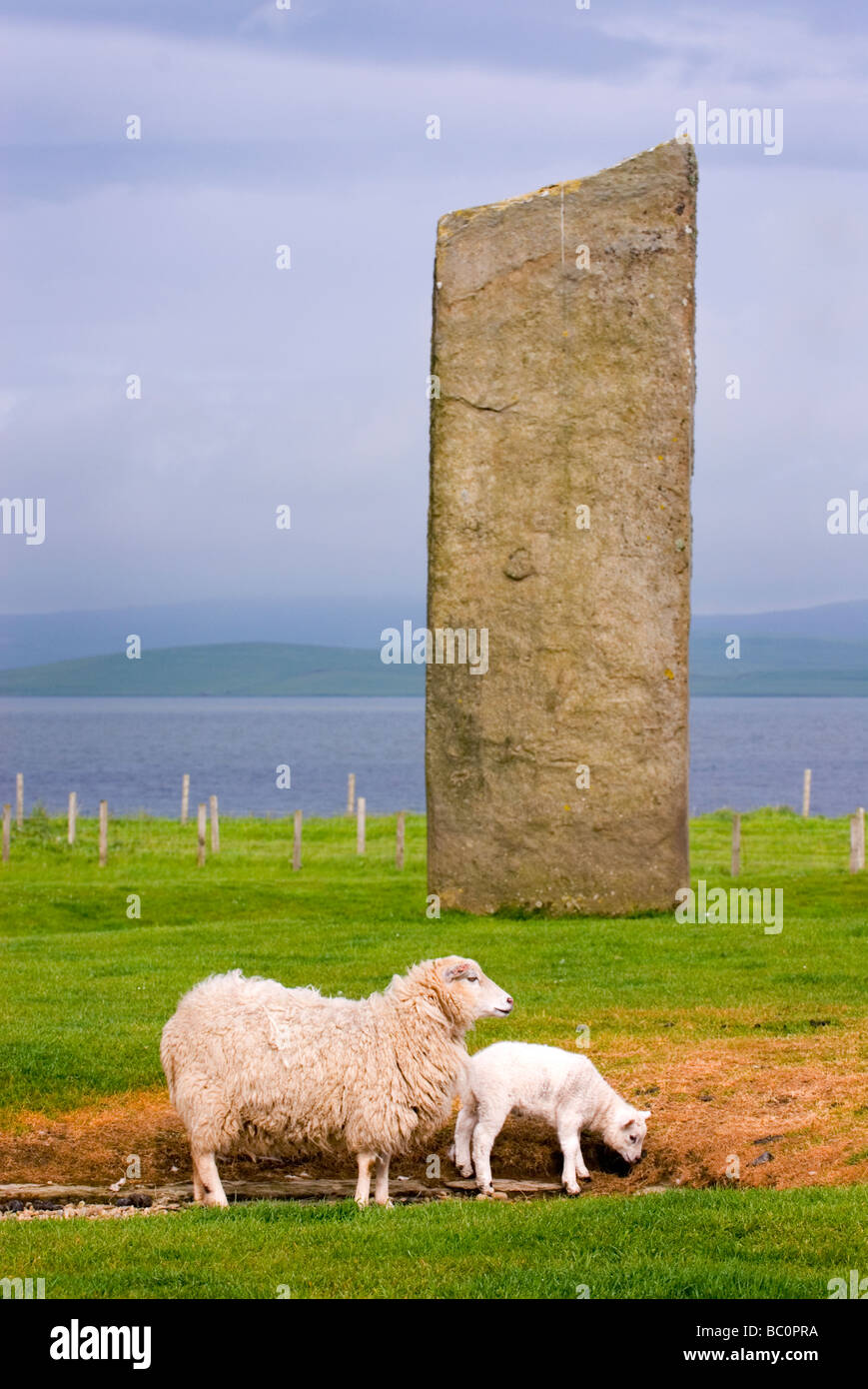 Standing Stones of Steness a Neolithic stone circle dating from 3100BC Orkney Islands Scotland Stock Photo