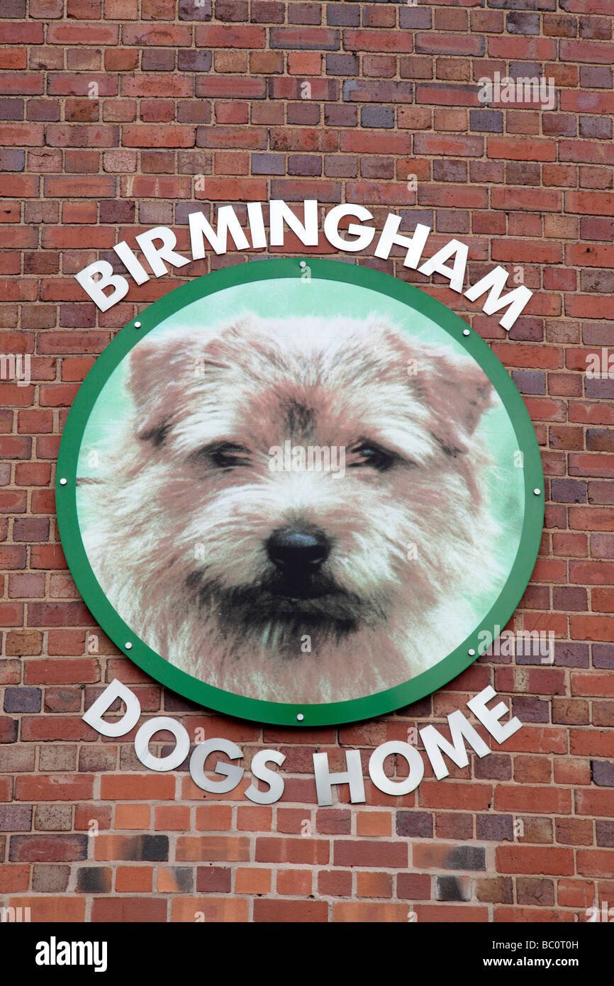 Kennel dogs uk hires stock photography and images Alamy