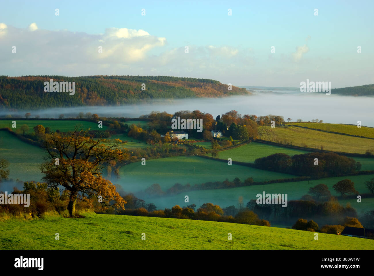 Misty morning over Marystowe in West Devon. Stock Photo