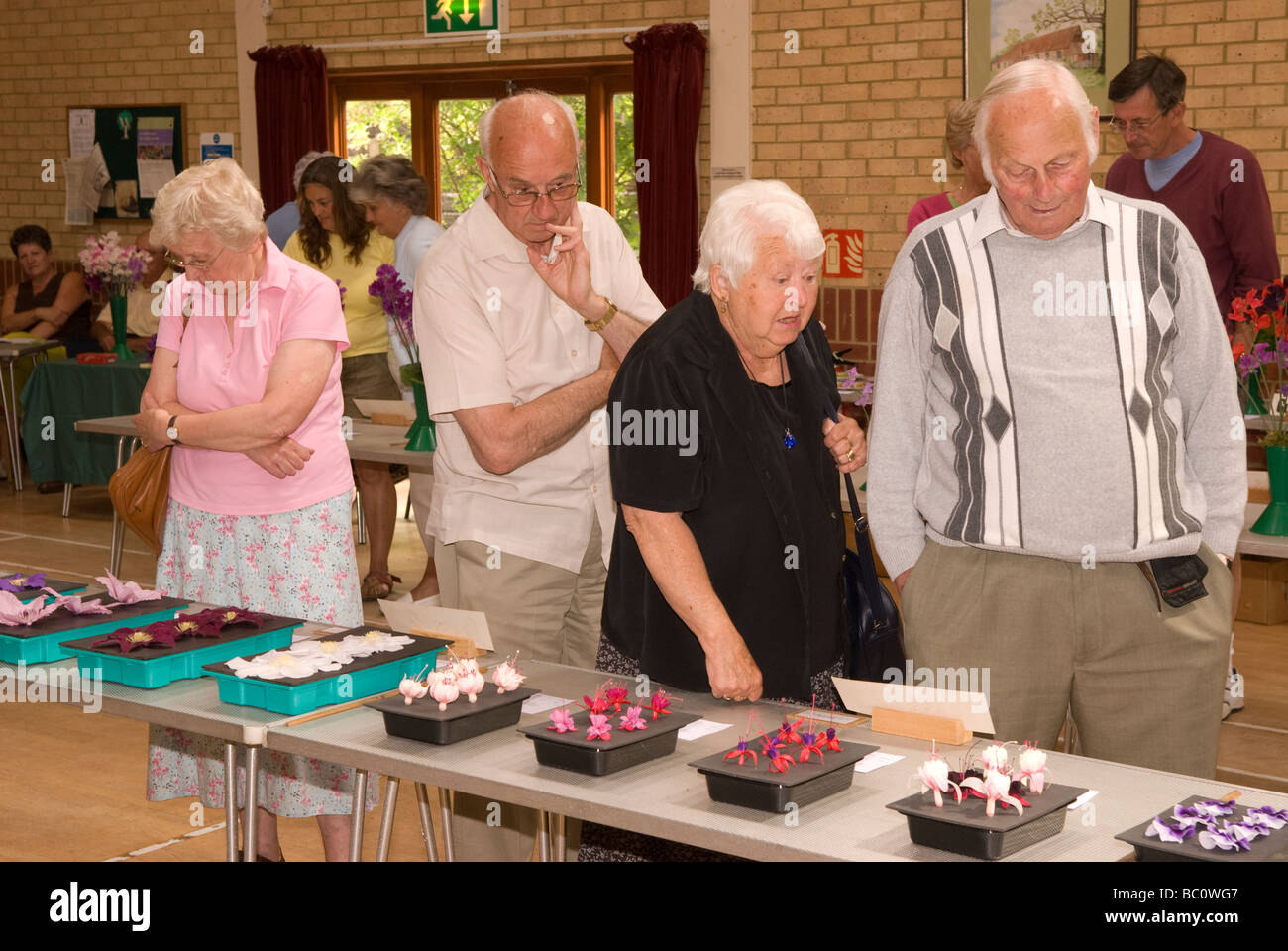 Visitors perusing entries at Chiddingfold Flower Show, Village Hall