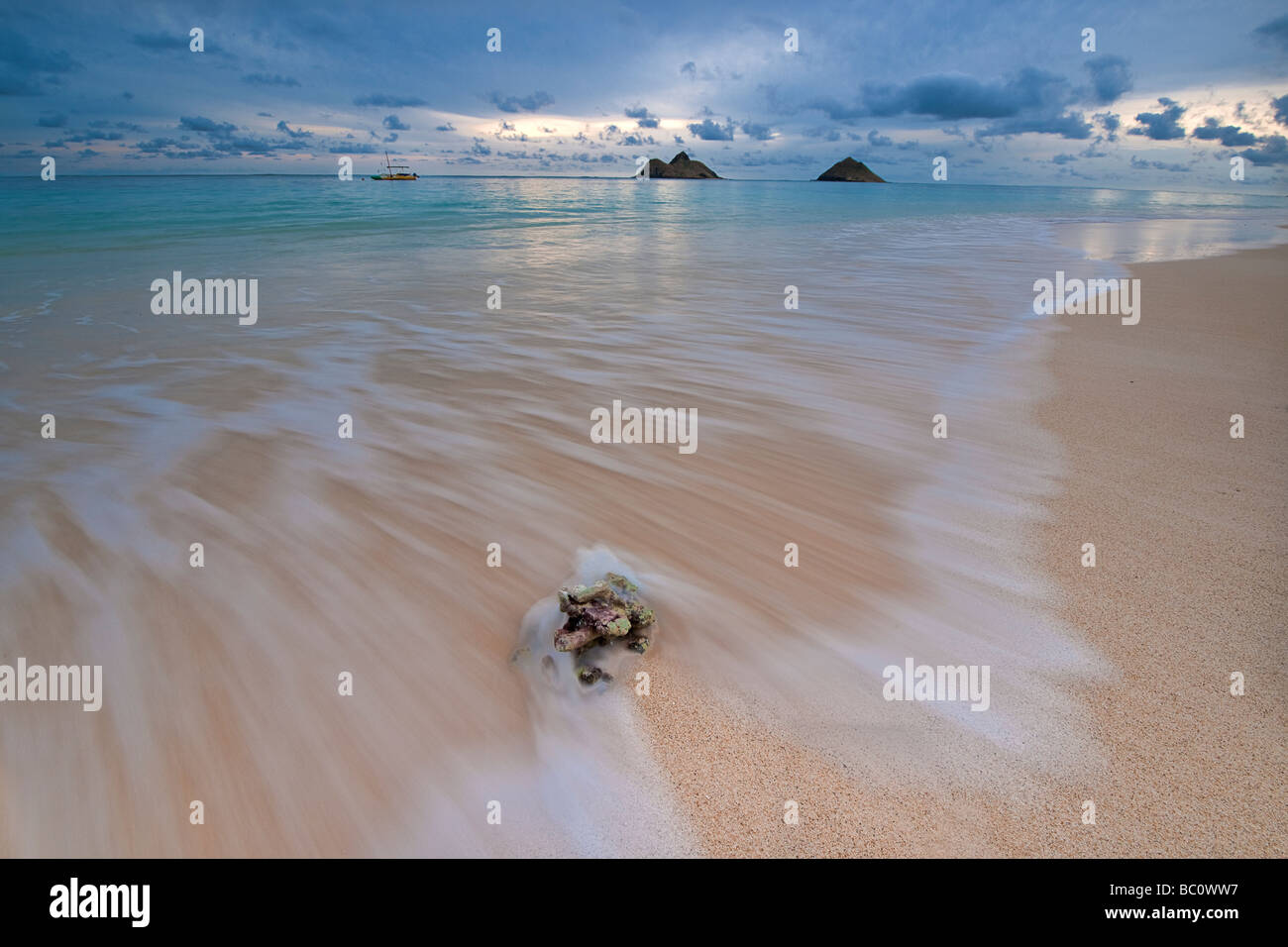Incoming tide washes over a piece of coral on the sands of Lanikai beach just before sunrise. Stock Photo