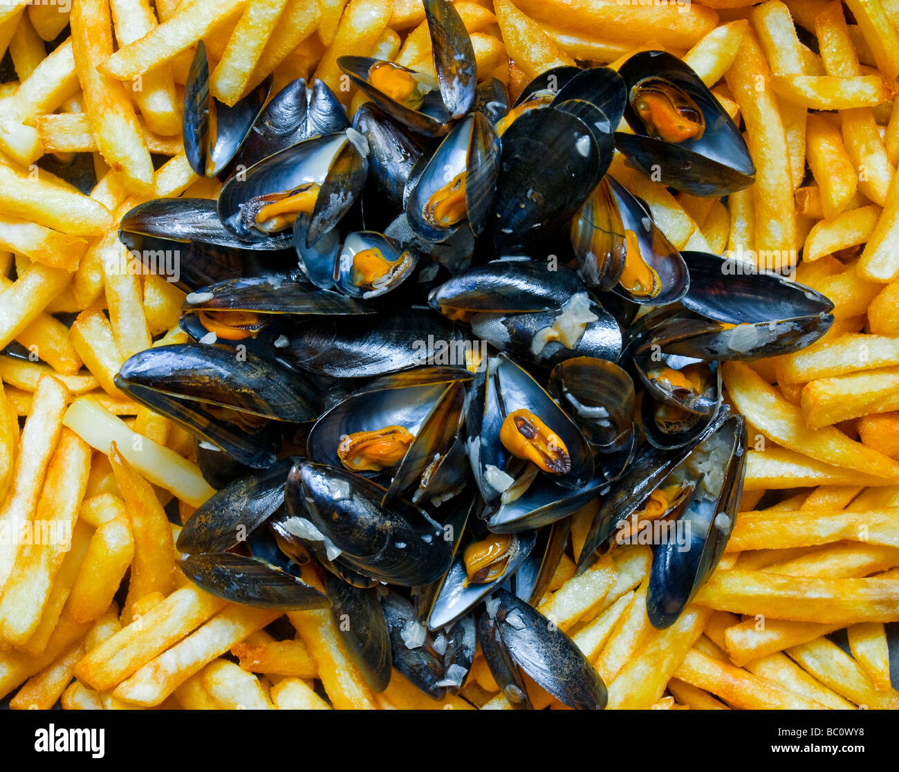Moules Frites / Mussels and Chips France Stock Photo Alamy