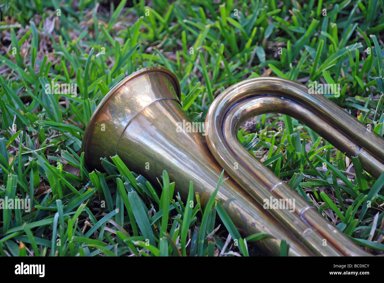 old bugle resting on a grass background. Stock Photo