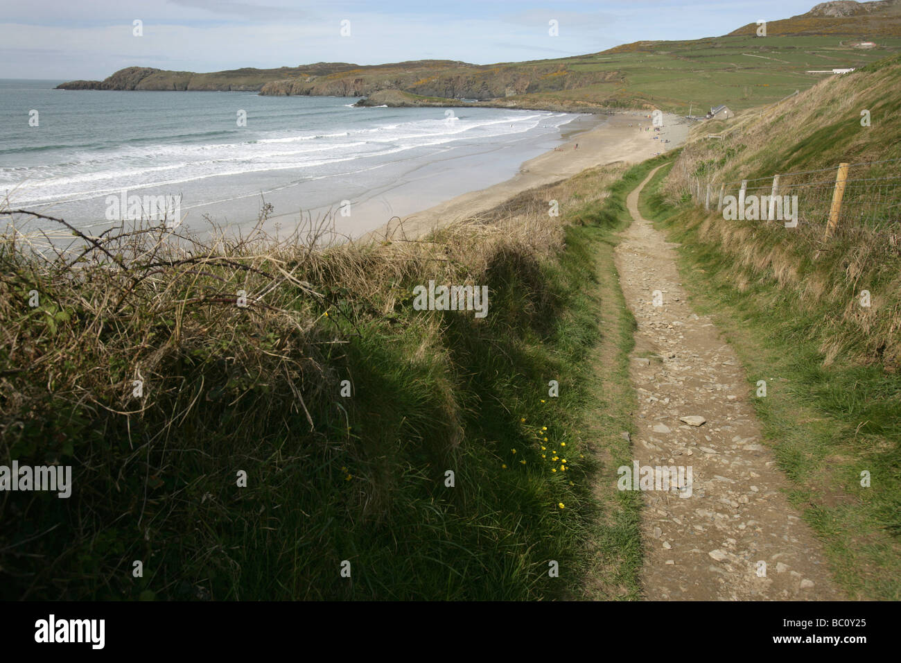 Area of Whitesands Bay, Wales. The Pembrokeshire Coastal Path route with Whitesands Bay in the background. Stock Photo