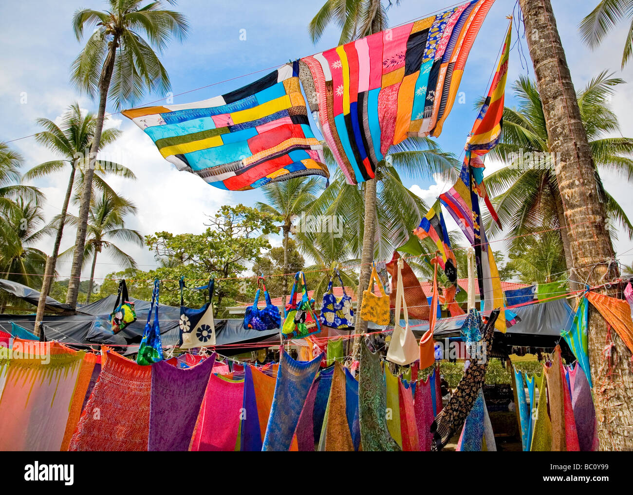 Manuel Antonio National Park, Puntarenas province, Costa Rica Brightly