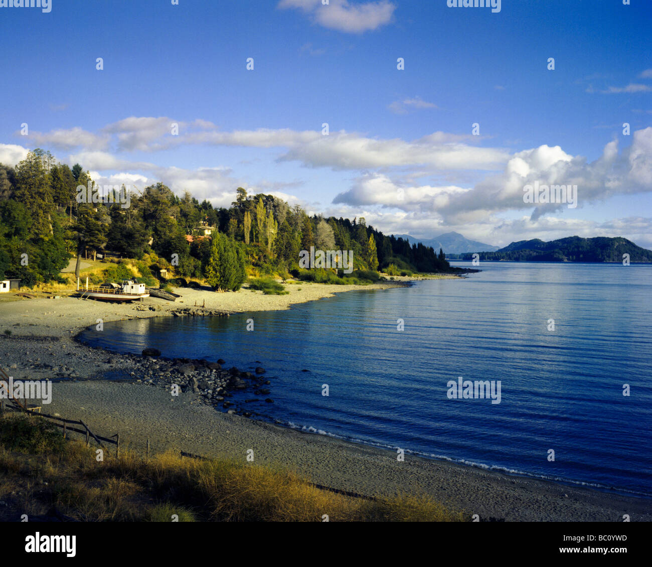 Forest in bariloche argentina hi-res stock photography and images - Alamy