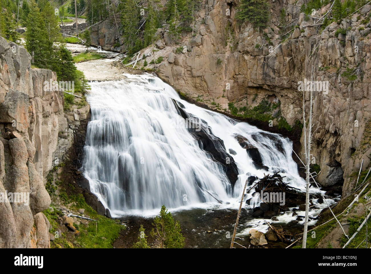 Gibbon Falls in Yellowstone National Park Stock Photo