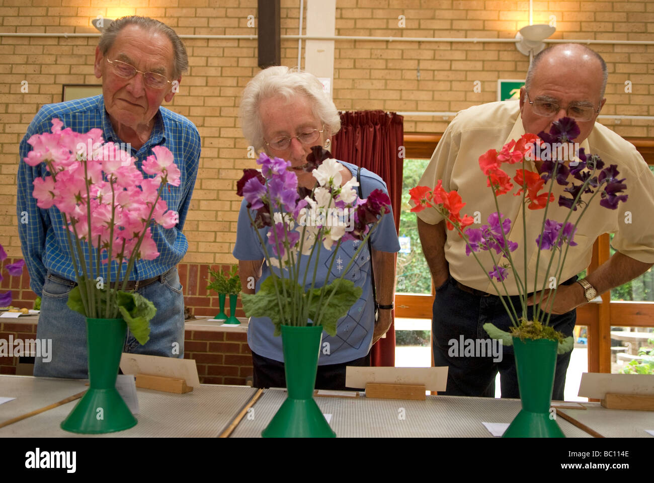 Elderly visitors perusing entries at Chiddingfold Flower Show, Village