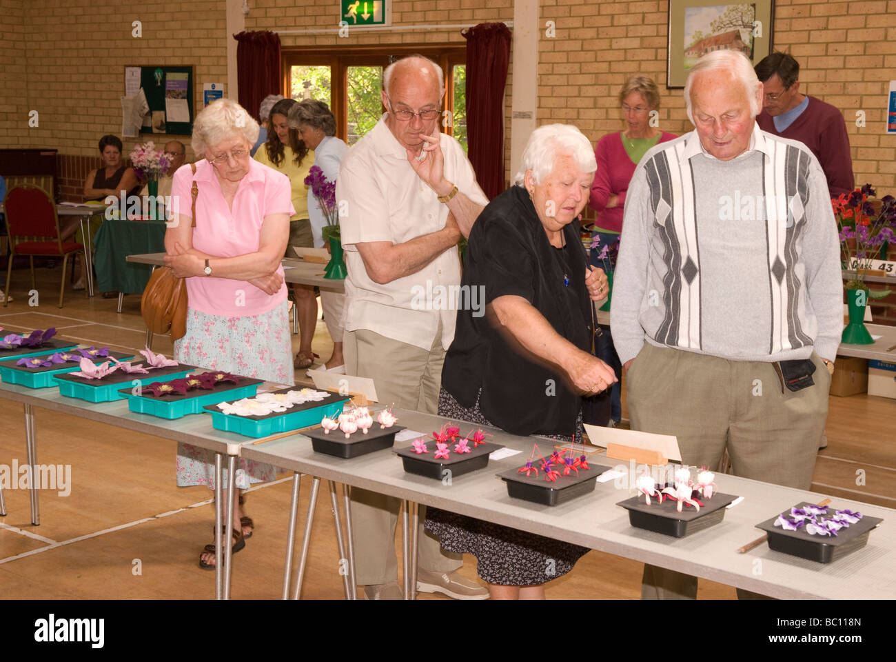 Visitors perusing entries at Chiddingfold Flower Show, Village Hall