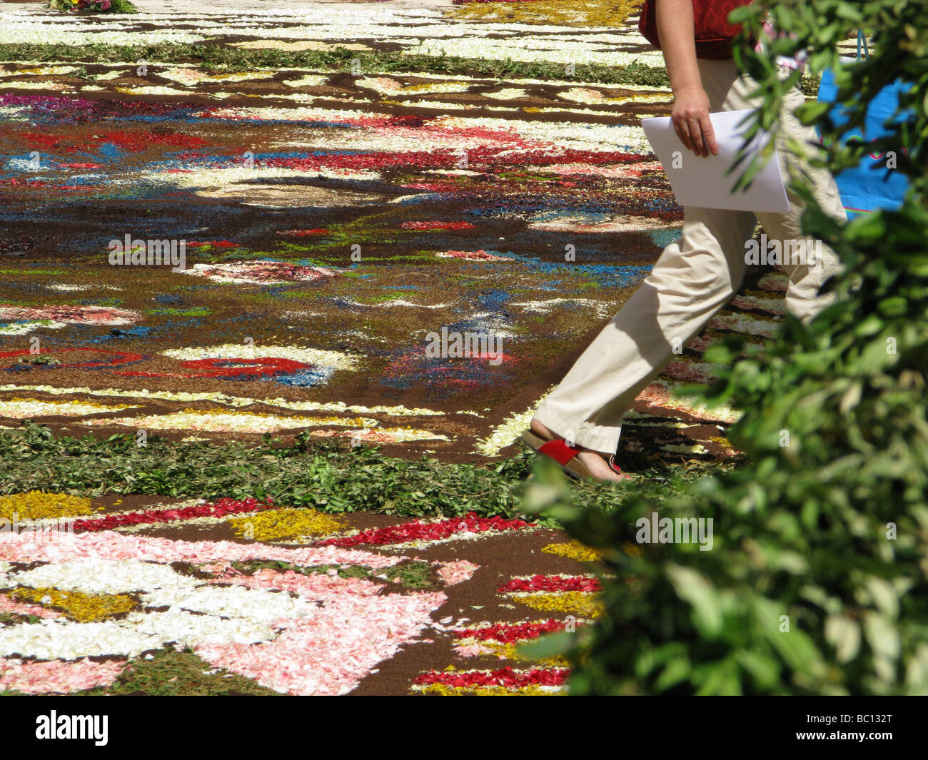 nfiorata flowers petals designs festival in genzano, lazio 2009 Stock